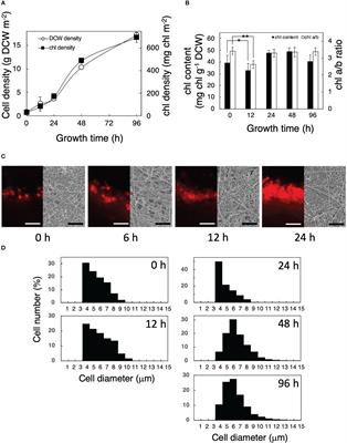 Cellular response of Parachlorella kessleri to a solid surface culture environment